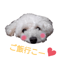 koko_20200217152953
