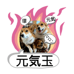 konatsu_20200217155242