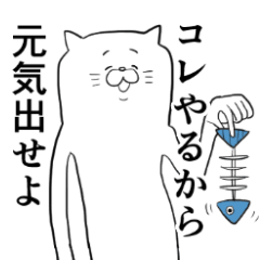 White cat-chan