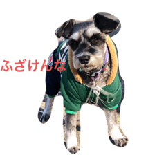 nagisa_20200216230111