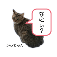 rina_20200217181210