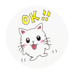 miyo_20200217192908