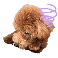 のだもこちゃんのスタンプ　2