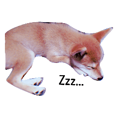 Rei_20200217202441