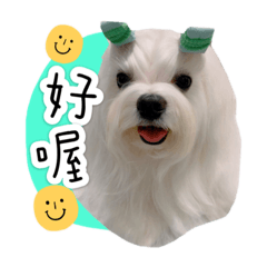 小瑪兩兄弟II
