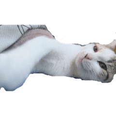 yuina_20200217205604