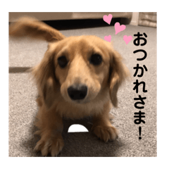mano_20200217223049