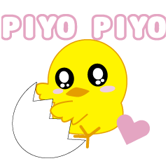 Cute piyopiyo chick