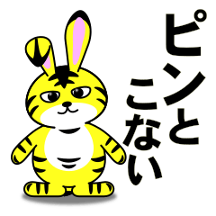 A tiger patterned rabbit "Torau"(J)3