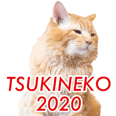 TSUKINEKO2020!