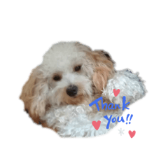 marina_20200218011810