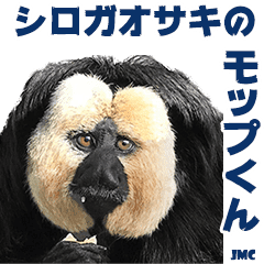 シロガオサキのモップくん Jmc 3 Line スタンプ Line Store シロガオサキのモップくん Jmc 3 Line スタンプ Line Store