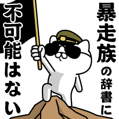 "BOUSOUZOKU"name/Military cat