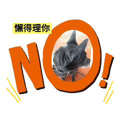 旺旺黑皮之香草星空日記