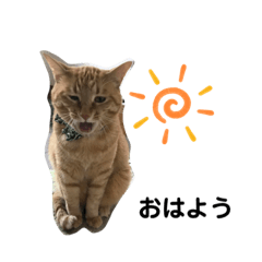 nanami_20200218113251