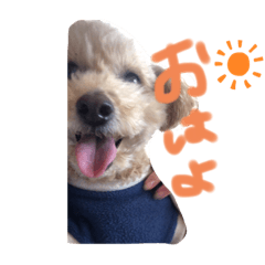 suzu_20200218124453