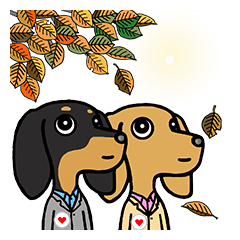 Two dachshunds (AUTUMN)