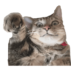 yuina_20200217201605