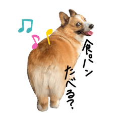 コーギー Lineクリエイターズスタンプまとめ Stamplist コーギー Lineクリエイターズスタンプまとめ Stamplist