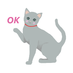 かわいいロシアンブルーのねこ Line スタンプ Line Store かわいいロシアンブルーのねこ Line スタンプ Line Store