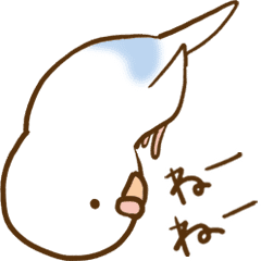 インコ気まぐれ Line スタンプ Line Store インコ気まぐれ Line スタンプ Line Store