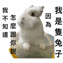 我沒辦法跟你說明我們社團在幹嘛