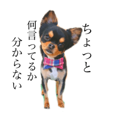 asuka_20200218202103