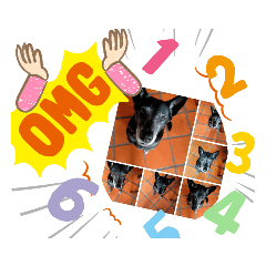 旺旺  黑皮之香草星空日記3