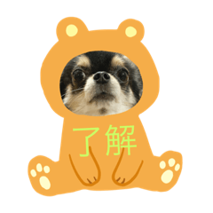 Runa_20200218213346runa