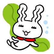 USAWAKAME USAWAKAME
