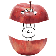 Usagixtuchon custom