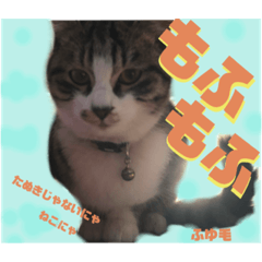 chisa_20200218221858