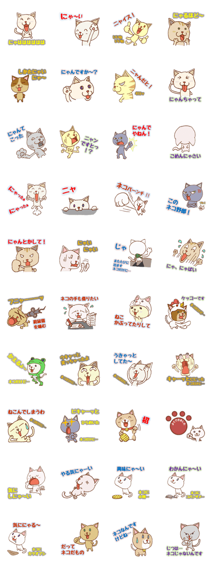 All is cat All is cat