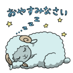 Daily life of sheep