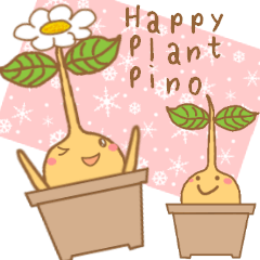 Happy Plant Pino 2