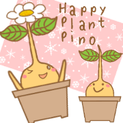 Happy Plant Pino 2 Happy Plant Pino 2