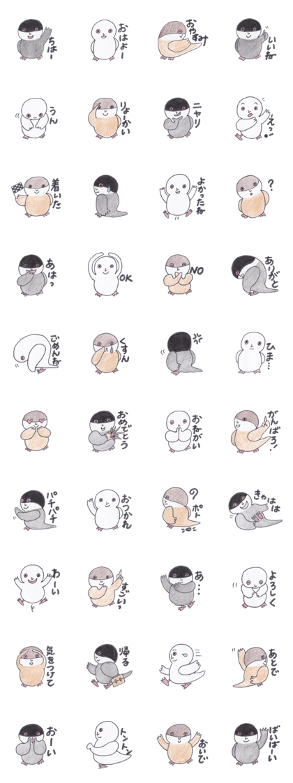 Java sparrow Peoples Java sparrow Peoples