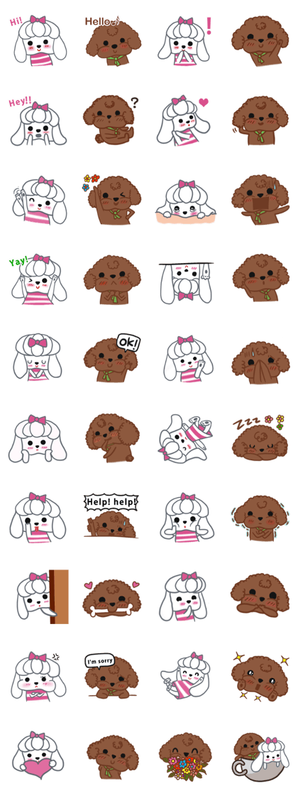 Shih Tzu and Poodle cute dog