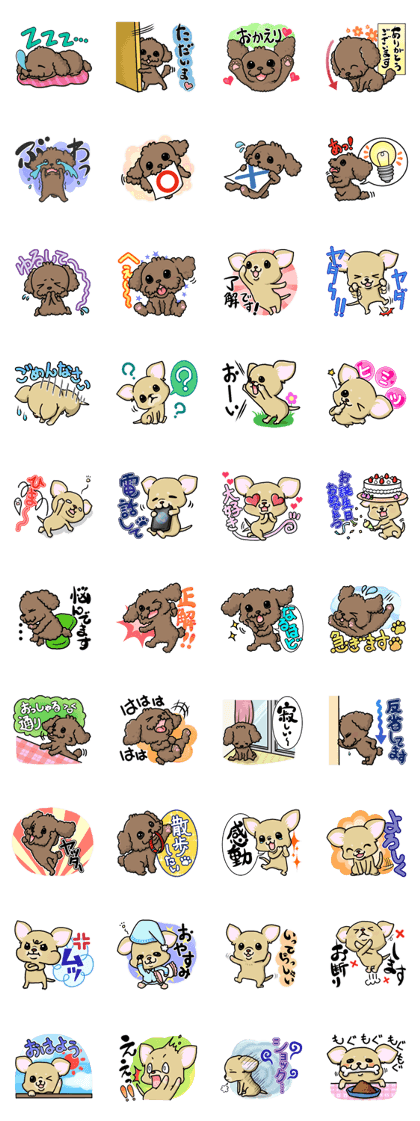 Lovely puppies ~Yuki & Luna's day~