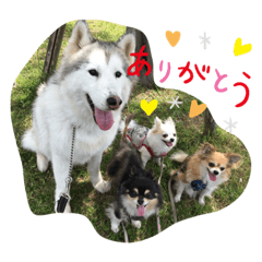 NOZOMI_20200219123727