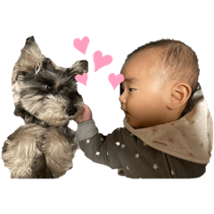 marina_20200219135755