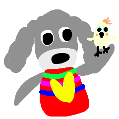 teacup poodle and parrot