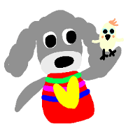 teacup poodle and parrot teacup poodle and parrot