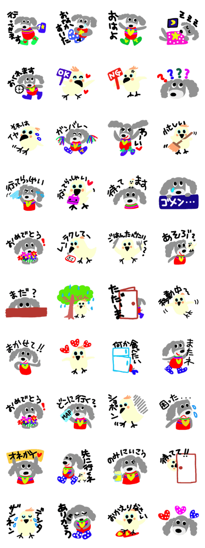 teacup poodle and parrot teacup poodle and parrot