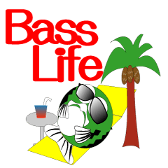 Every day which is a Bass