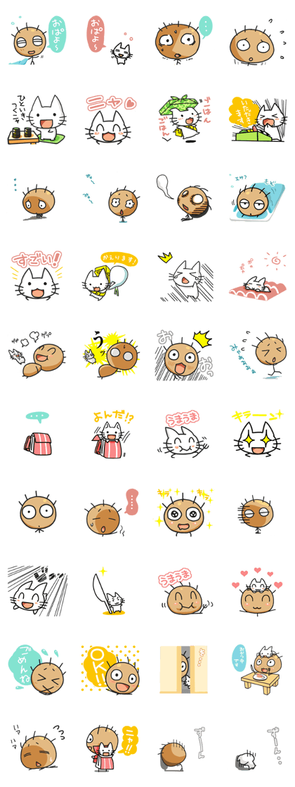 One of the rare species and a useful cat