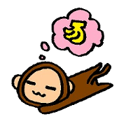 Cute Monkey Uki-chan Cute Monkey Uki-chan