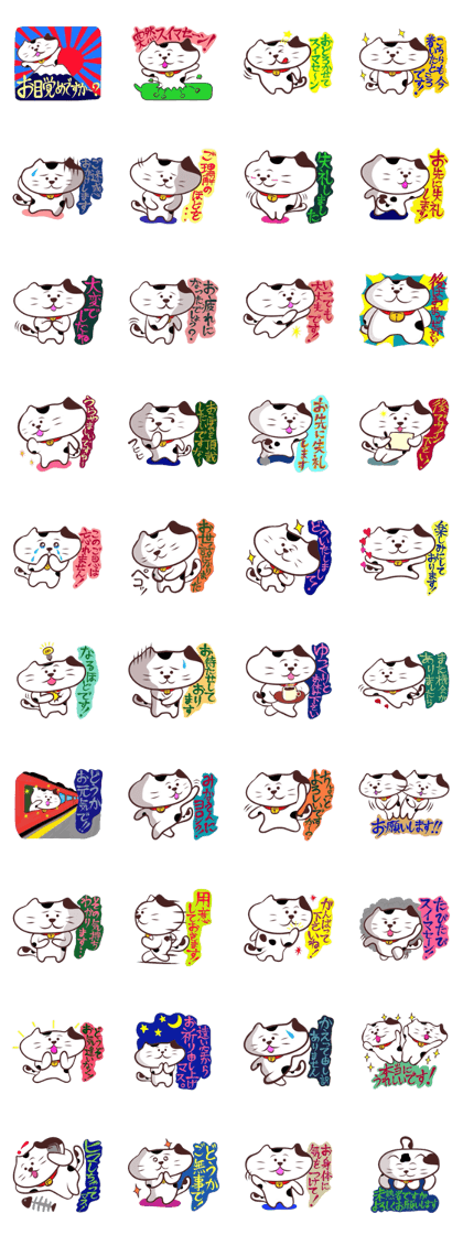 Flatter! tortoiseshell cat!4