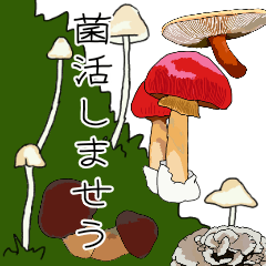 Lovely lovery mushrooms