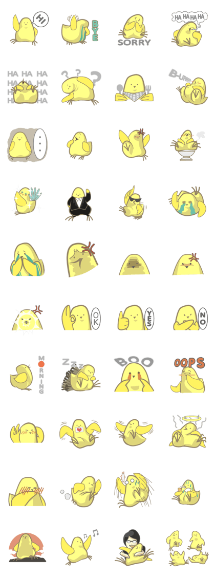 Cute chicky Cute chicky